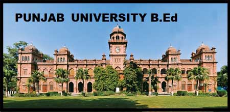 Panjab University B.Ed 2023