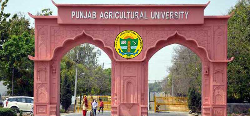 Punjab Agricultural University 2022