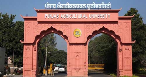 Punjab Agricultural University